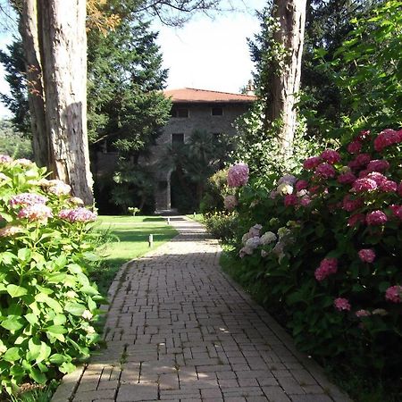 L'Arcadia Guest House Pietrasanta Bagian luar foto