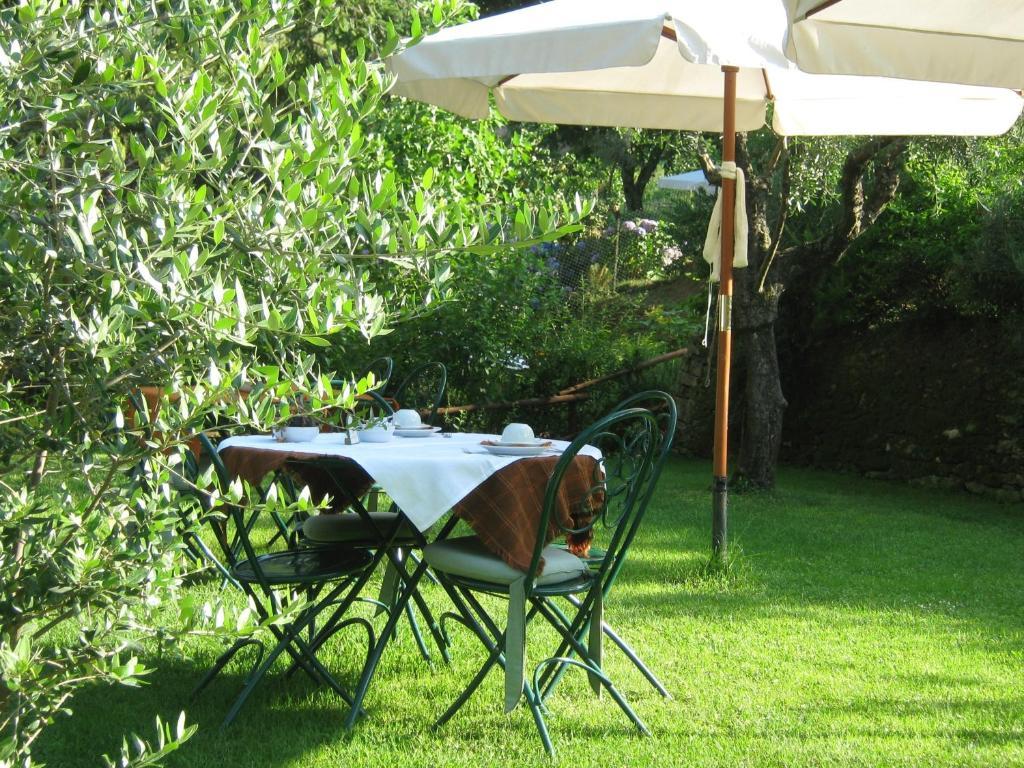 L'Arcadia Guest House Pietrasanta Bagian luar foto