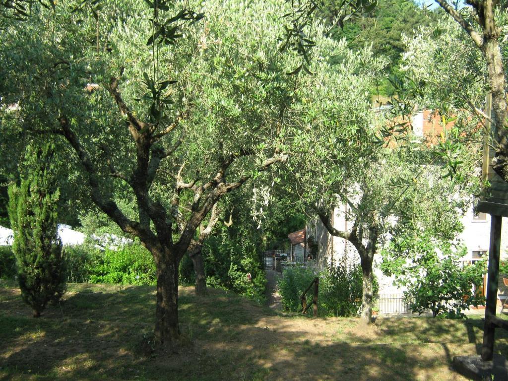 L'Arcadia Guest House Pietrasanta Bagian luar foto