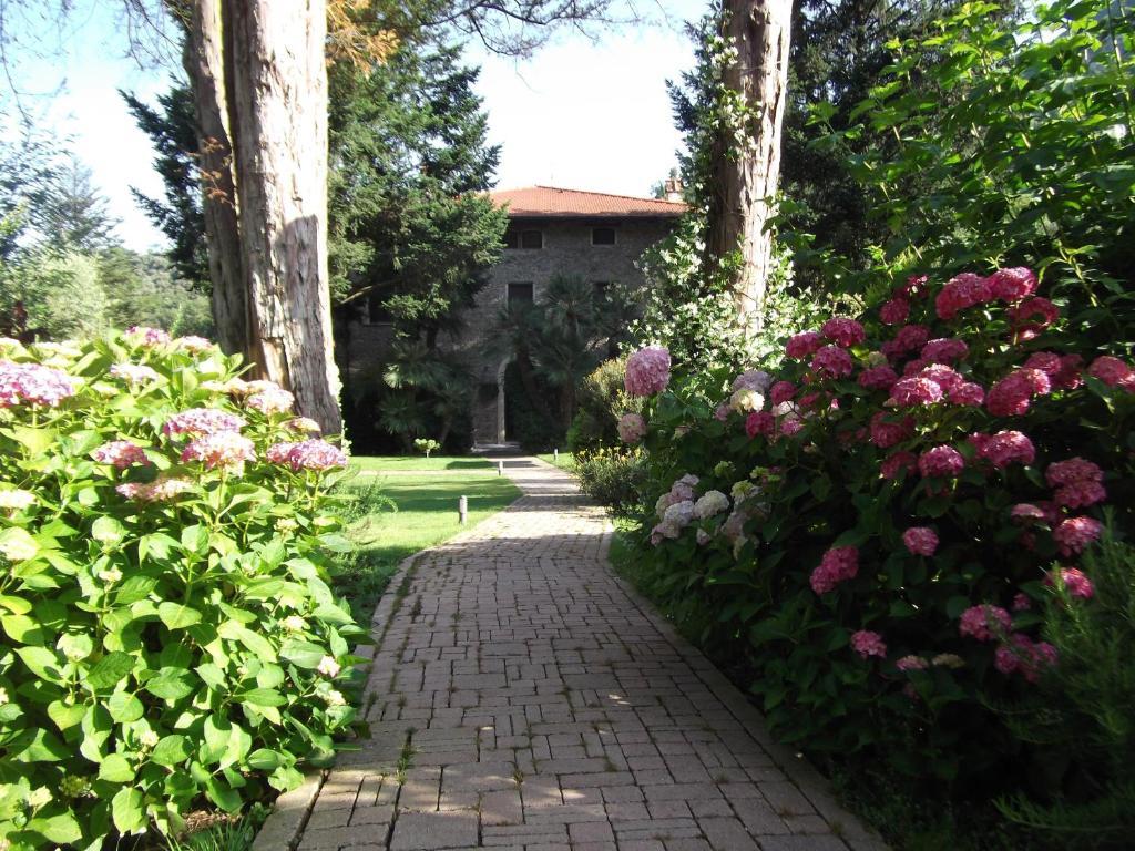 L'Arcadia Guest House Pietrasanta Bagian luar foto