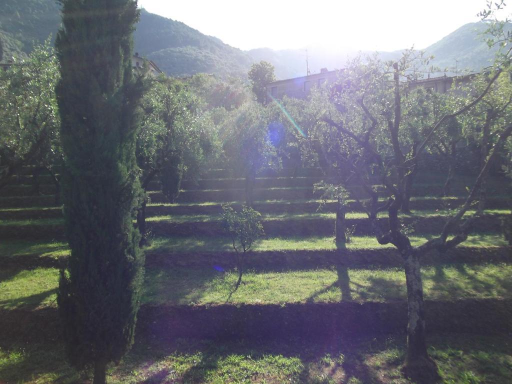 L'Arcadia Guest House Pietrasanta Bagian luar foto